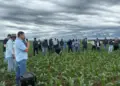 Caravana da Produção de Grãos destaca tecnologias avançadas da agricultura no estado