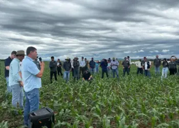 Caravana da Produção de Grãos destaca tecnologias avançadas da agricultura no estado