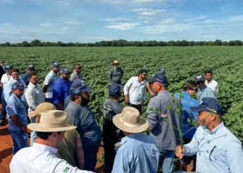 Caravana da Produção de Grãos segue com apresentações de tecnologias agrícolas no sul do Tocantins