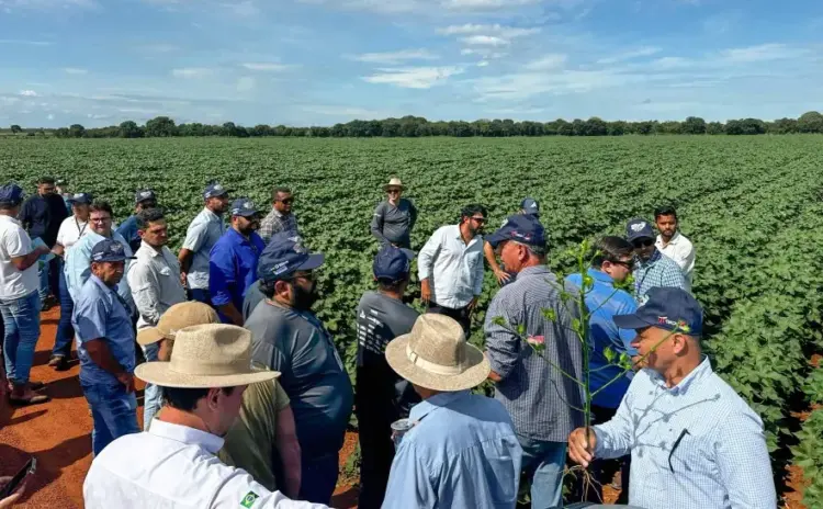 Caravana da Produção de Grãos segue com apresentações de tecnologias agrícolas no sul do Tocantins