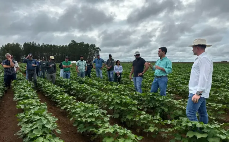 Produtores rurais do oeste do estado exploram tecnologias avançadas para o cultivo de grãos
