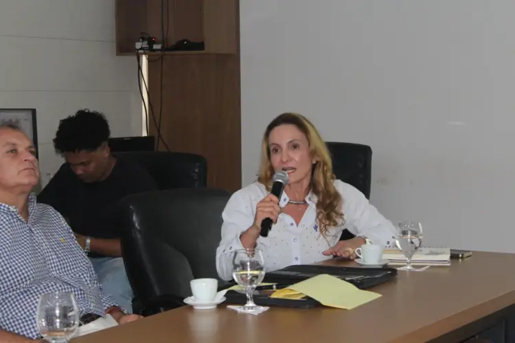 Nelore Tocantins participa de reunião sobre Fundo Garantidor de Investimentos