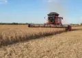 Colheita de soja avança com boas expectativas no Tocantins