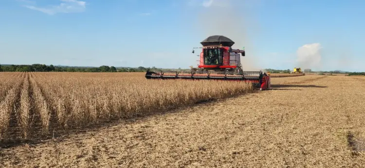 Colheita de soja avança com boas expectativas no Tocantins