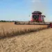 Colheita de soja avança com boas expectativas no Tocantins