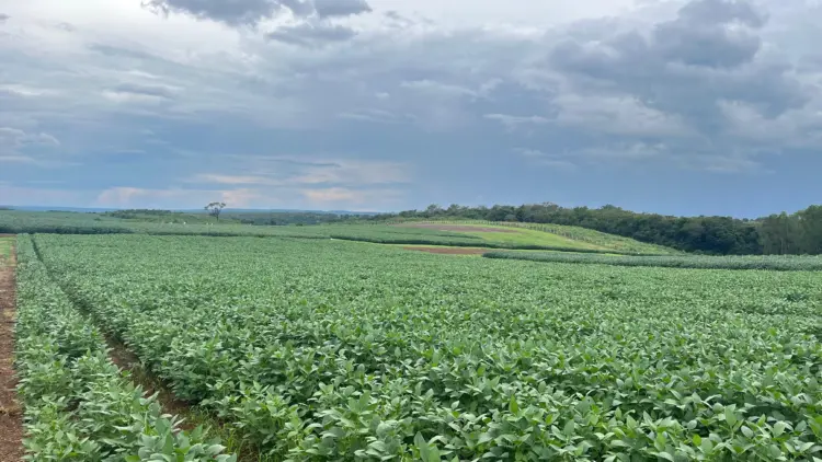 Chuvas intensas: 16 estados, incluindo o Tocantins, estão em alerta para tempestades