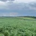 Chuvas intensas: 16 estados, incluindo o Tocantins, estão em alerta para tempestades