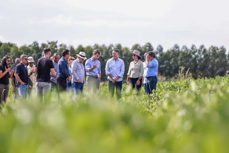 Prefeitura de Palmas e Embrapa se unem para impulsionar a produção rural na capital