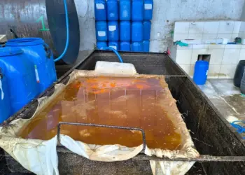 Secretaria de Meio Ambiente de Paraíso busca práticas sustentáveis na coleta e gerenciamento de óleo de fritura