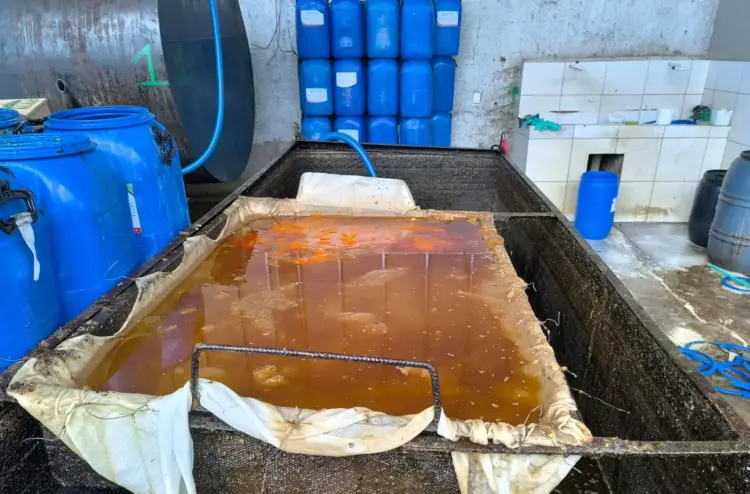 Secretaria de Meio Ambiente de Paraíso busca práticas sustentáveis na coleta e gerenciamento de óleo de fritura