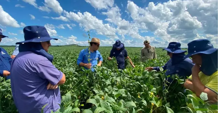 Forte expansão rural potencializa novos investimentos no Tocantins