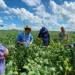 Forte expansão rural potencializa novos investimentos no Tocantins