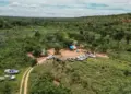 Polícia Federal investiga incêndio em casas de quilombo em Lagoa do Tocantins