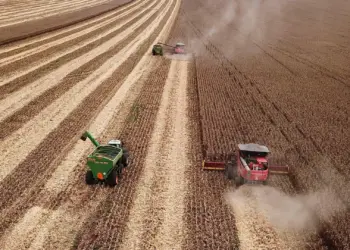 Governo suspende novas contratações do Plano Safra