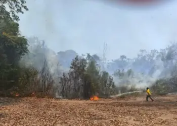Boletim Climático da Secretaria do Meio Ambiente registra 32 focos de incêndio em 20 municípios