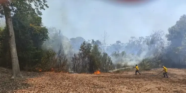 Boletim Climático da Secretaria do Meio Ambiente registra 32 focos de incêndio em 20 municípios