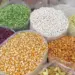 Governo inicia compras para o Programa de Aquisição de Alimentos