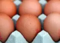 Exportação influencia no preço do ovo? Setor avícola explica a alta