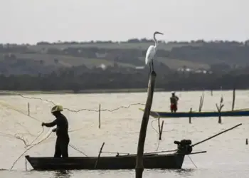 Prazo de Defeso na Bacia dos Rios Tocantins e Gurupi termina em 28 de fevereiro
