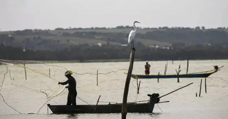 Prazo de Defeso na Bacia dos Rios Tocantins e Gurupi termina em 28 de fevereiro