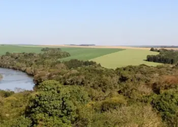 Desmatamento ilegal suspende CAR imediatamente: solução ou insegurança jurídica?