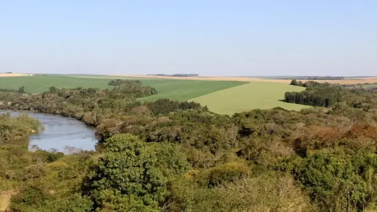 Desmatamento ilegal suspende CAR imediatamente: solução ou insegurança jurídica?