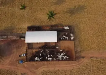 Preço das terras agrícolas dobra em cinco anos; Matopiba lidera o aumento