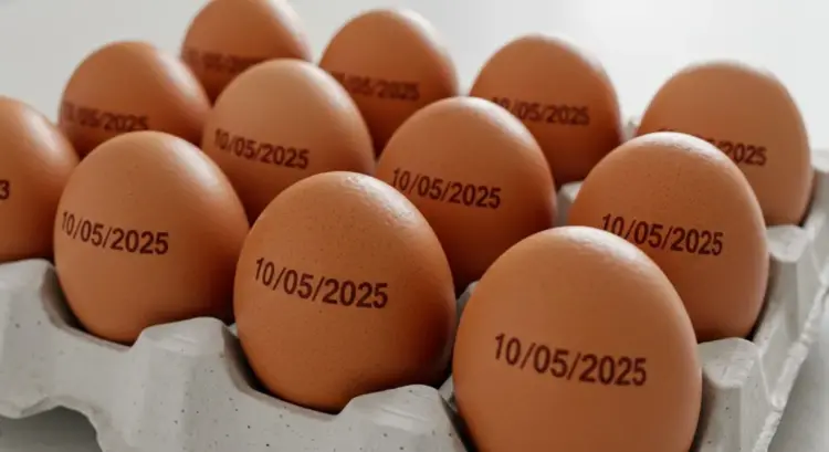 Novas regras para a venda de ovos entram em vigor; veja o que muda