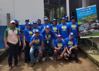 Codevasf capacita moradores da comunidade indígena de Canuanã (TO) em práticas apícolas