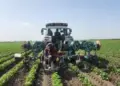 Água é um dos desafios globais da agricultura