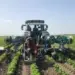 Água é um dos desafios globais da agricultura