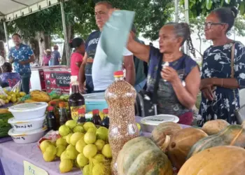 Araguaína recebe a 6ª Feira da Agricultura Familiar e Artesanato das Mulheres Camponesas