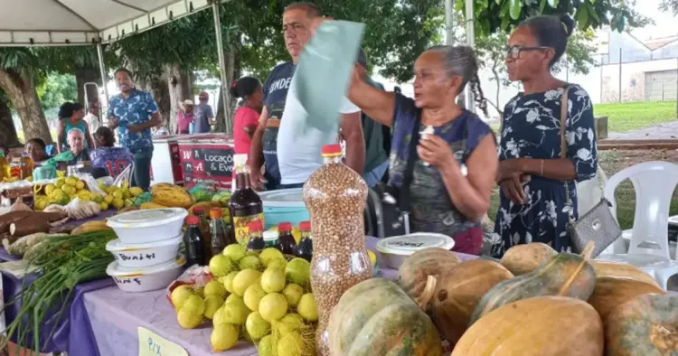 Araguaína recebe a 6ª Feira da Agricultura Familiar e Artesanato das Mulheres Camponesas