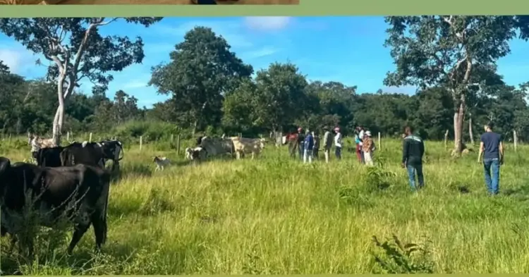 Secretaria de Agricultura de Araguacema destaca parceria com SENAR Tocantins