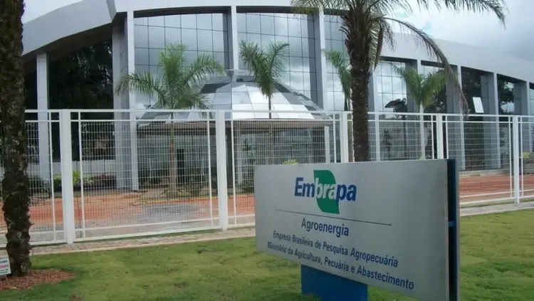 Mesmo com recursos escassos, Embrapa inicia construção de nova unidade em Mato Grosso
