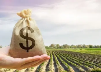 Cortes no Plano Safra e Seguro Rural aumentam incerteza para o agronegócio em 2025