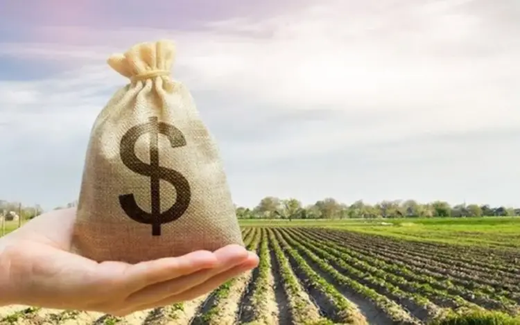 Cortes no Plano Safra e Seguro Rural aumentam incerteza para o agronegócio em 2025