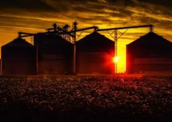 Conab receberá R$ 350 milhões para reforço no estoque de alimentos