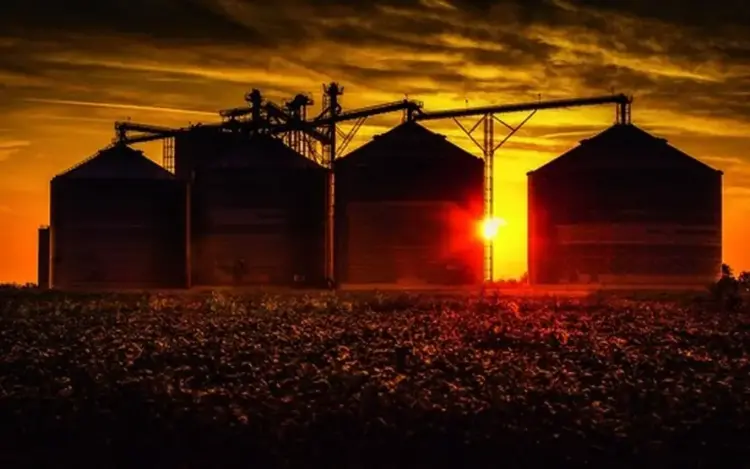 Conab receberá R$ 350 milhões para reforço no estoque de alimentos