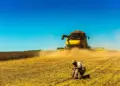 Chuvas atrasam colheita de soja; veja como está o andamento no Brasil
