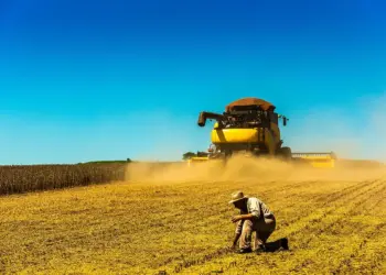 Chuvas atrasam colheita de soja; veja como está o andamento no Brasil
