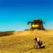 Chuvas atrasam colheita de soja; veja como está o andamento no Brasil