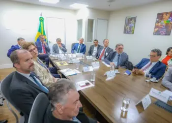 Representantes da agricultura familiar do Tocantins se encontram com ministro Wellington Dias em Brasília