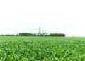 Aprosoja MT comemora o Dia Mundial da Agricultura com homenagem aos produtores rurais