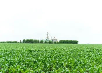 Aprosoja MT comemora o Dia Mundial da Agricultura com homenagem aos produtores rurais
