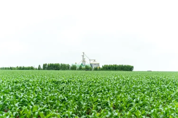 Aprosoja MT comemora o Dia Mundial da Agricultura com homenagem aos produtores rurais