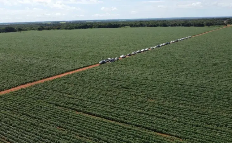 Caravana da Produção de Grãos encerra 1ª edição com alternativa inovadora para o cultivo de arroz em terras altas, em Miracema