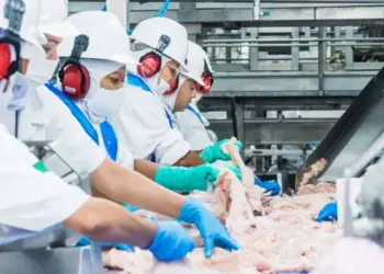 Empresários com registro no SIE devem ficar atentos ao recadastramento obrigatório até 31 de março