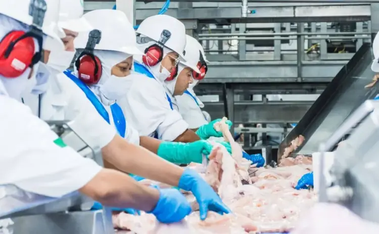 Empresários com registro no SIE devem ficar atentos ao recadastramento obrigatório até 31 de março