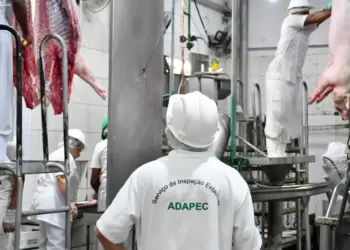 Primeiro frigorífico de suínos é certificado no Serviço de Inspeção Estadual